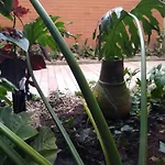 Downtown, Blue Green Home, Nature Inspired