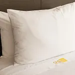 Hotel Cosmos 116