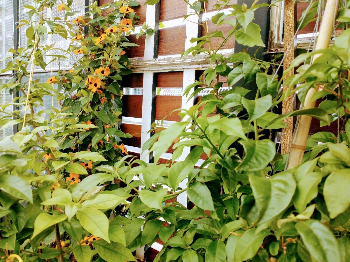 Casa Sab - Boutique Bed and breakfast 2*