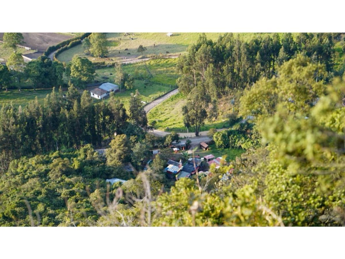 Palú Eco Aldea Hotel
