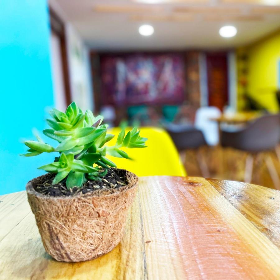 Macondo Hostal