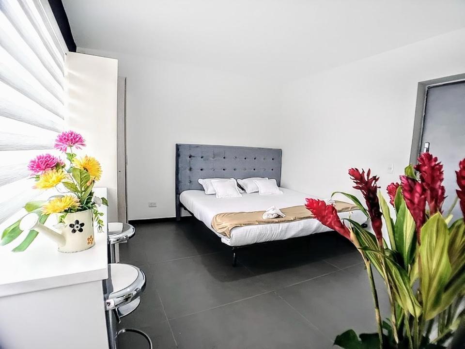 Apartasuites Romannoti