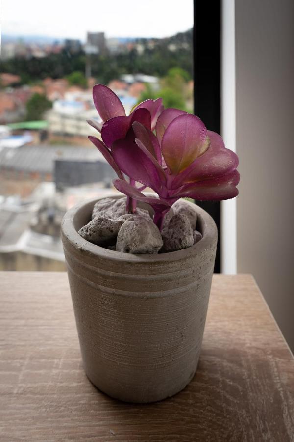 Welcoming Loft In Centro Internacional *