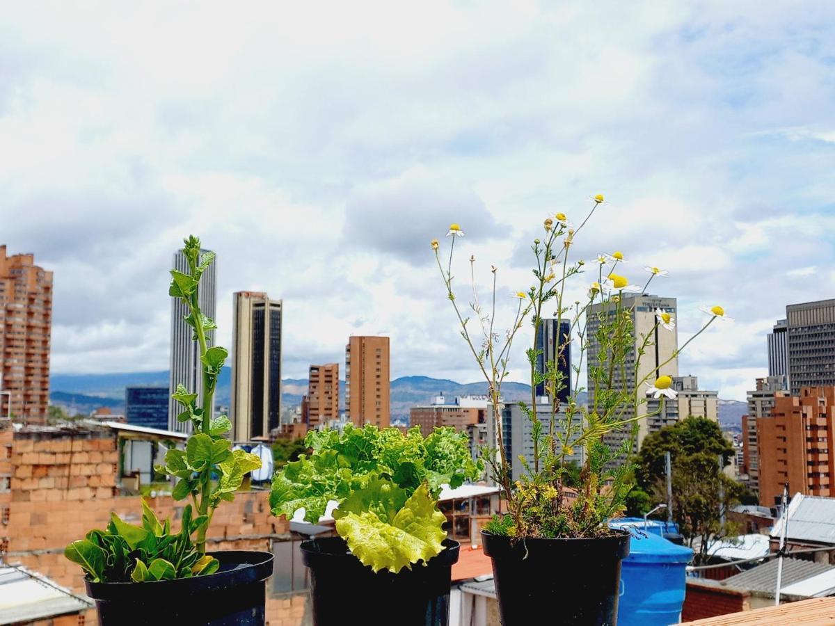 Hermoso En La Mejor Zona De *