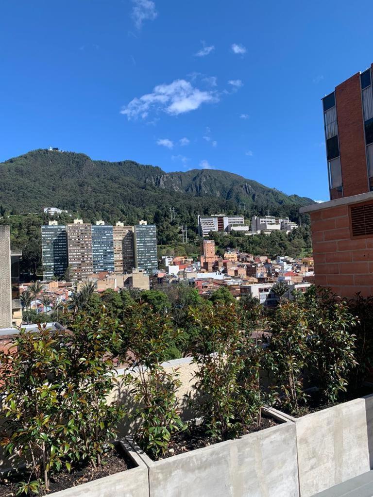 Loft En La Candelaria Excelente Ubicacion *