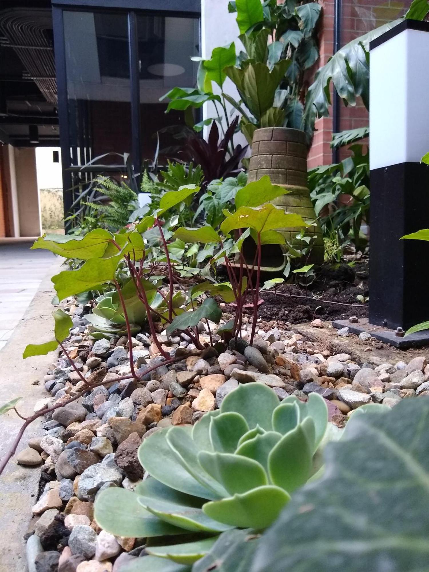Apartamento Downtown, Blue Home, Nature Inspired Bogotá