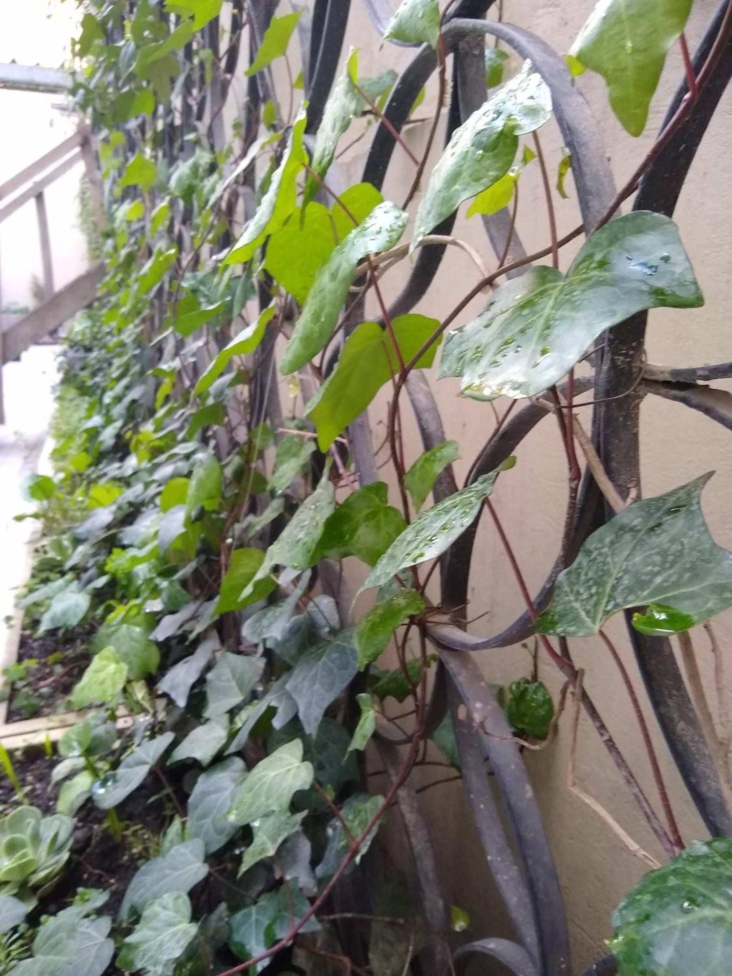 Downtown, Blue Home, Nature Inspired Apartamento Bogotá