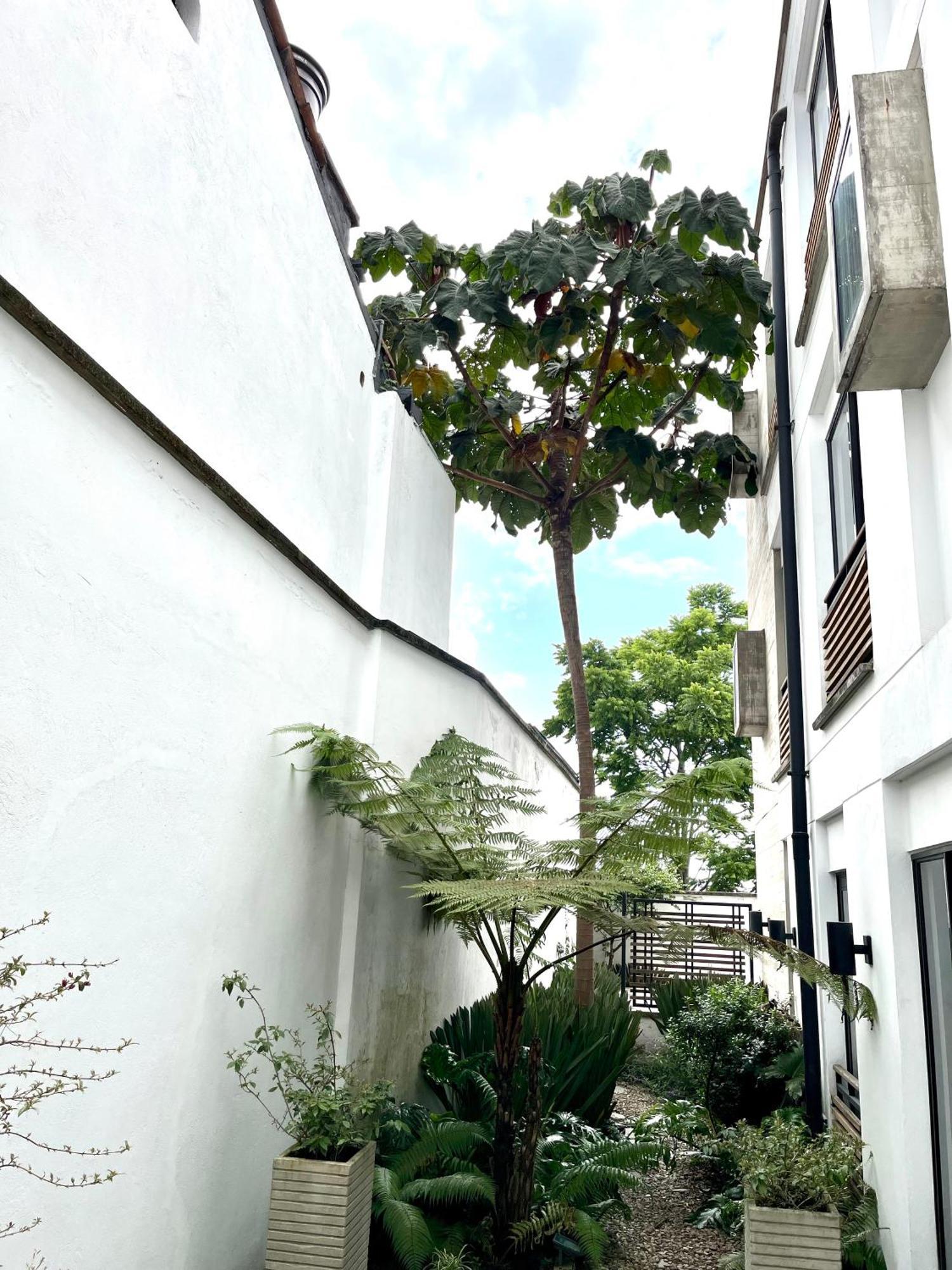 Modern Loft, View-town-la Candelaria Neighborhood Bogotá