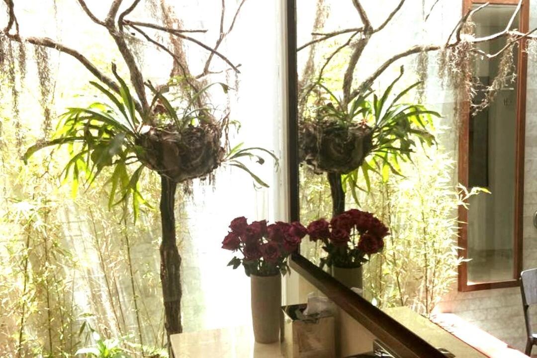 Magnificent Pent House In * Bogotá