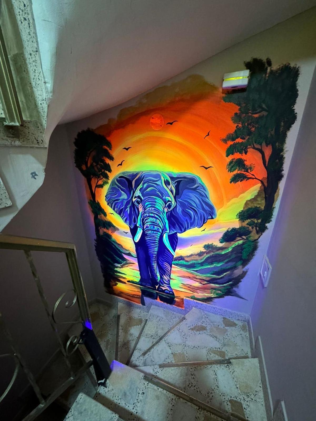 Gato Neon Pensión