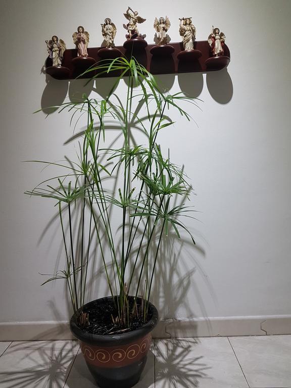 Tu Hogar Cerca A La Zona T Habitación en casa particular *