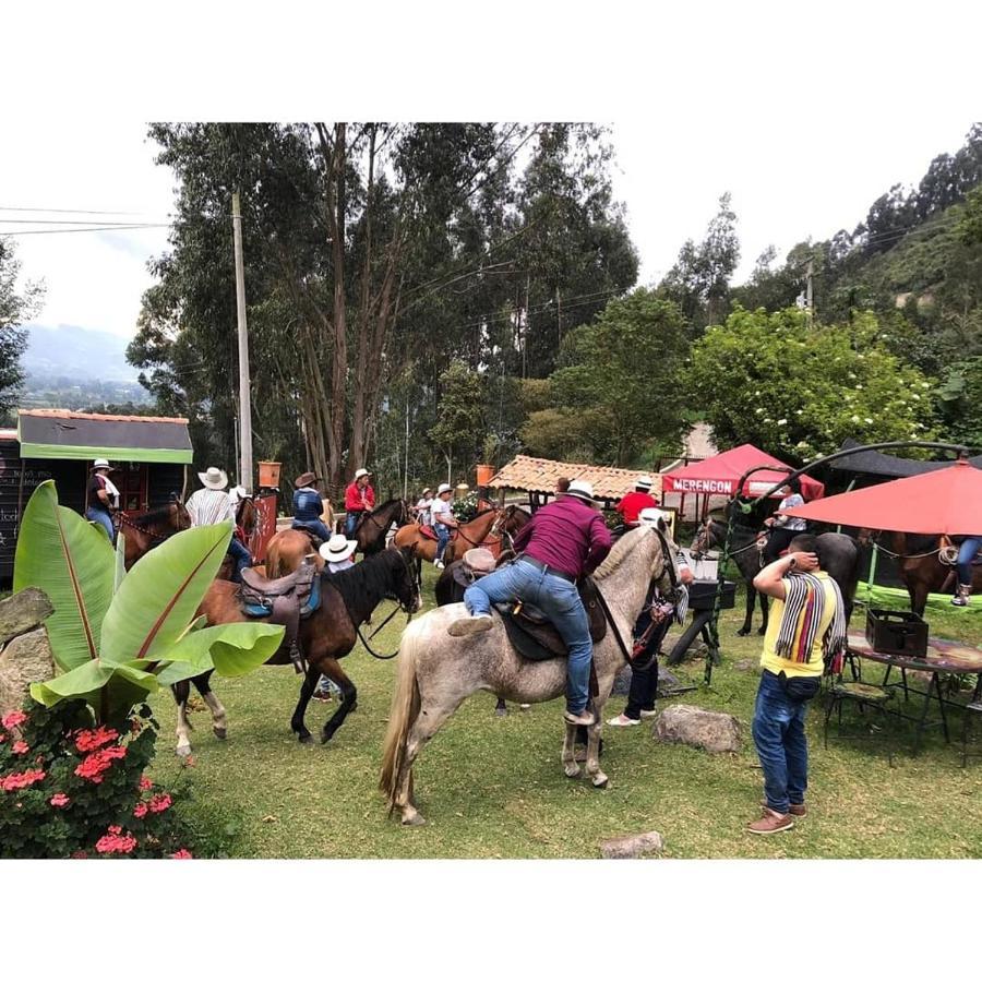 Palú Eco Aldea Hotel *
