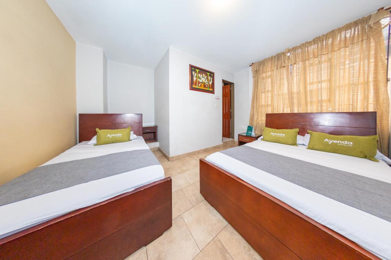 Hotel Bioma 1010 3*