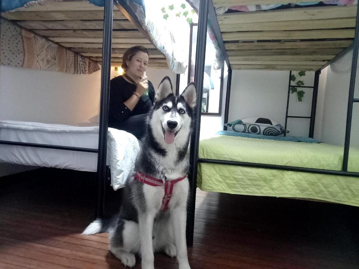 Hostal Zona G