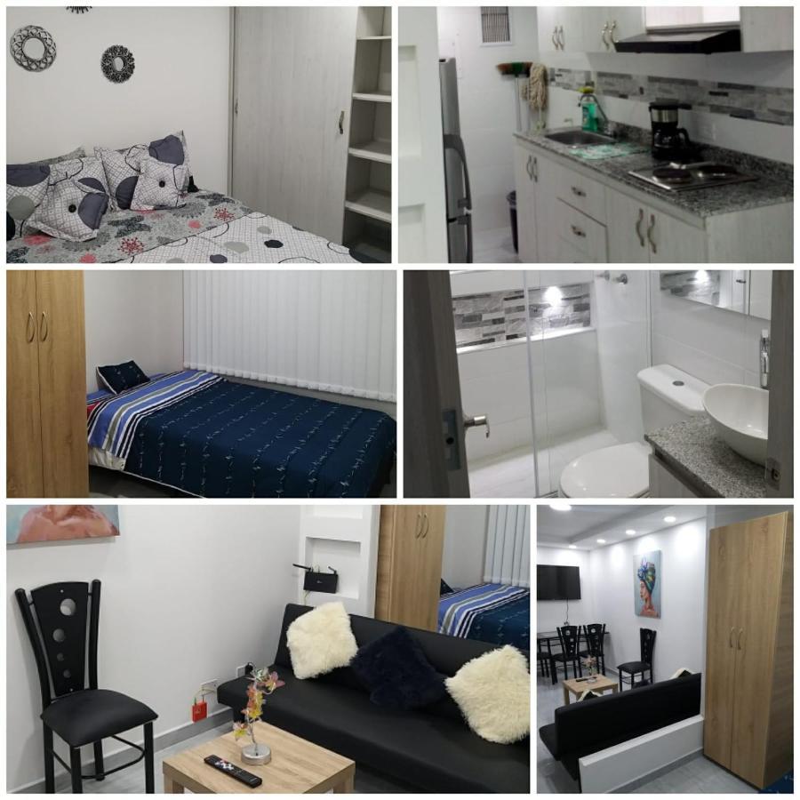 Ctic Amoblado Norte En Apartamento *