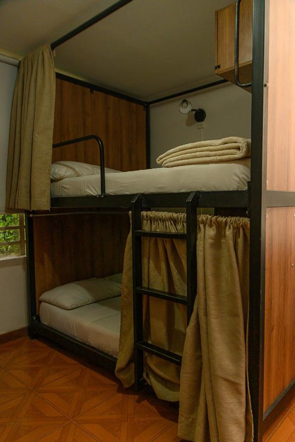Hostal Trip Monkey D.c
