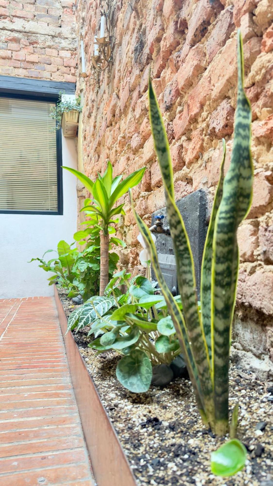 Bed and breakfast Aguas Bogotá