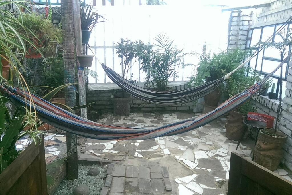 Apartamento Casa Viva Terraza