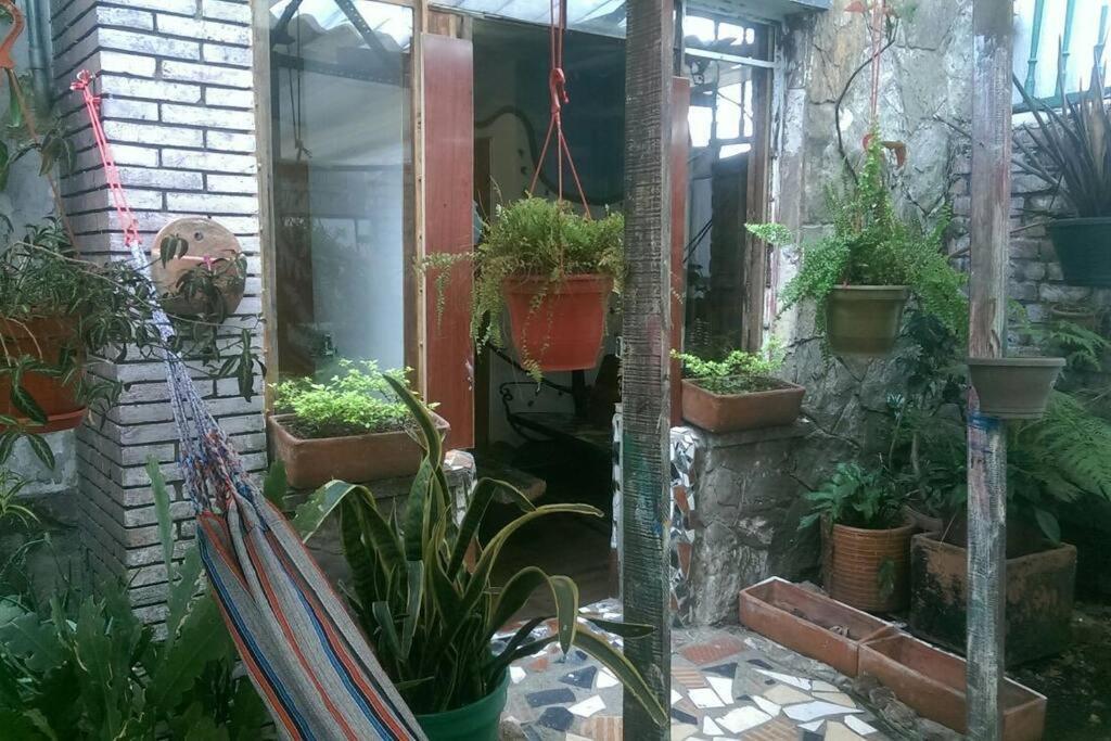 Casa Viva Terraza Apartamento Bogotá