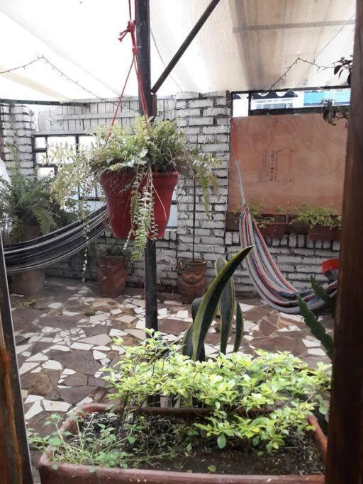 Casa Viva Terraza