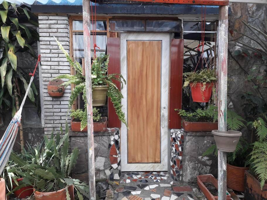 Casa Viva Terraza
