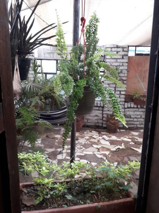 Apartamento Casa Viva Terraza