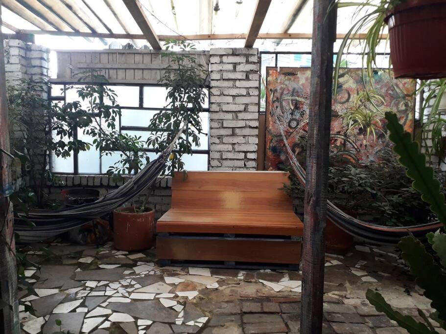 Casa Viva Terraza *