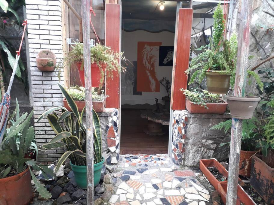 Casa Viva Terraza Apartamento *