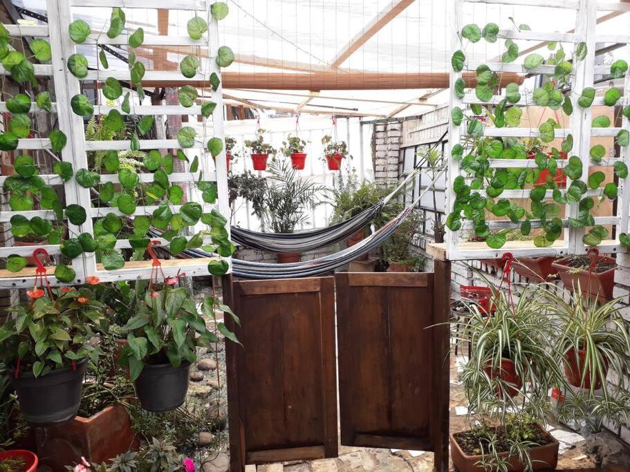 Casa Viva Terraza *