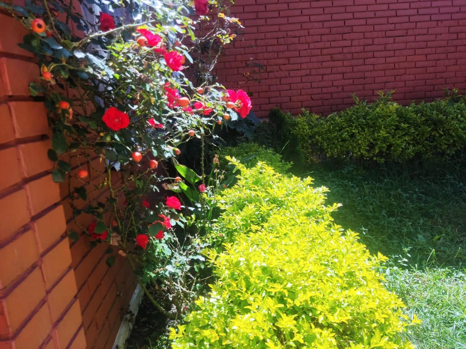 Habitación Privada Con Parqueadero * Bogotá