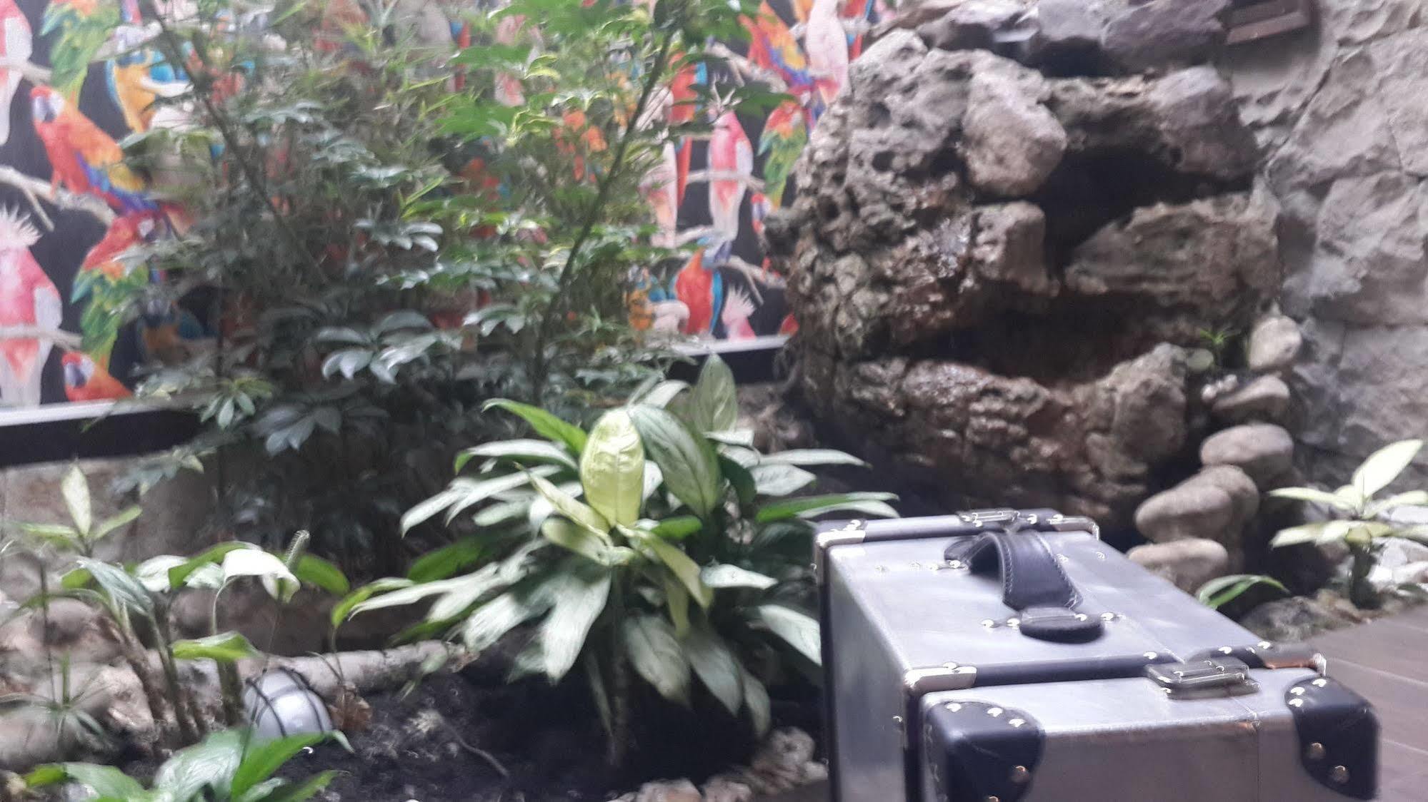 Casa Lozada Bogota