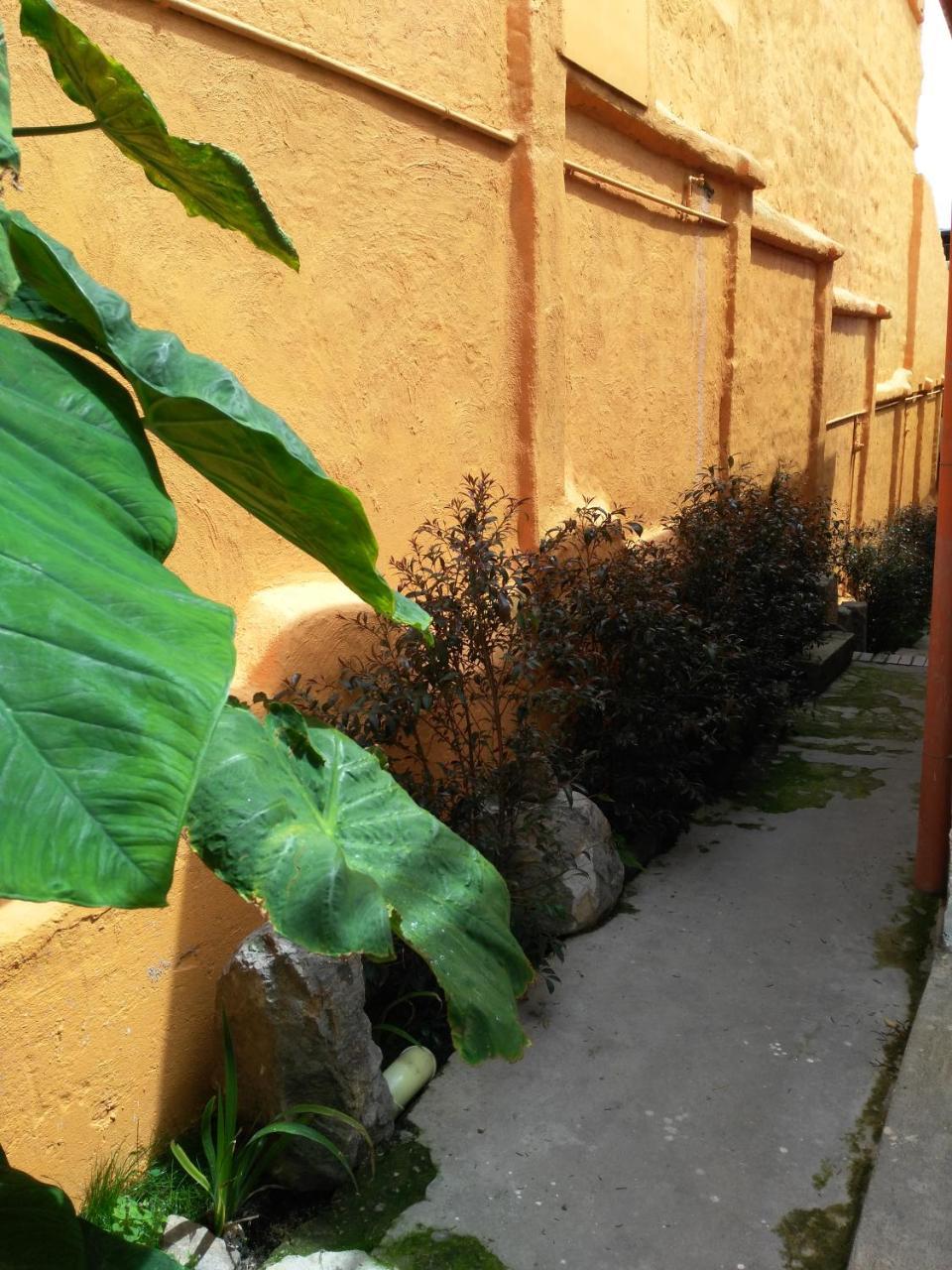Casa-arbol Apartamento