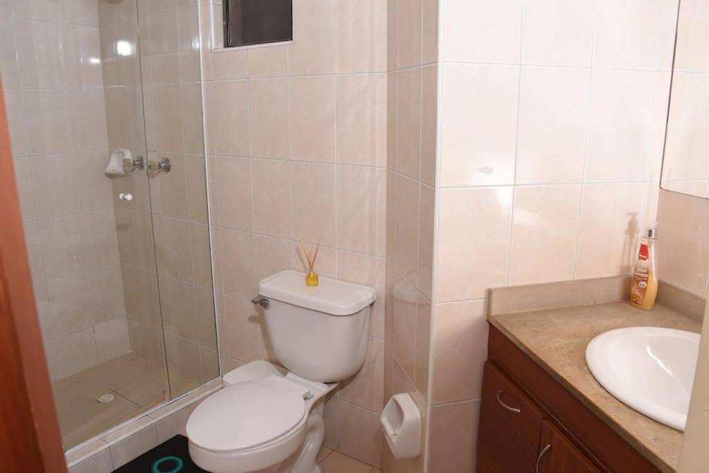 Apartment: Corferias, Embajada, Airport, Agora,g12 Apartamento