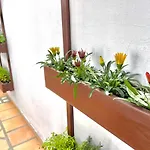 La Casa de las Plazas URBAN