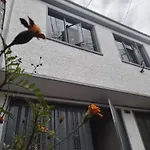 Elemental Hostel Coliving