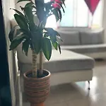 Lindo Apartamento Ubicacion Central