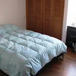 Comfy Quiet Apartment In Zona G Rosales