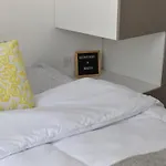 Central Elegance