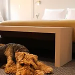 Modern Comfort In The Heart Of Zona G 202