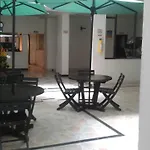 Luz Del Sol