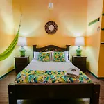 Chocolate Hostel