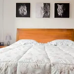 Equilibrium Luxury Studio