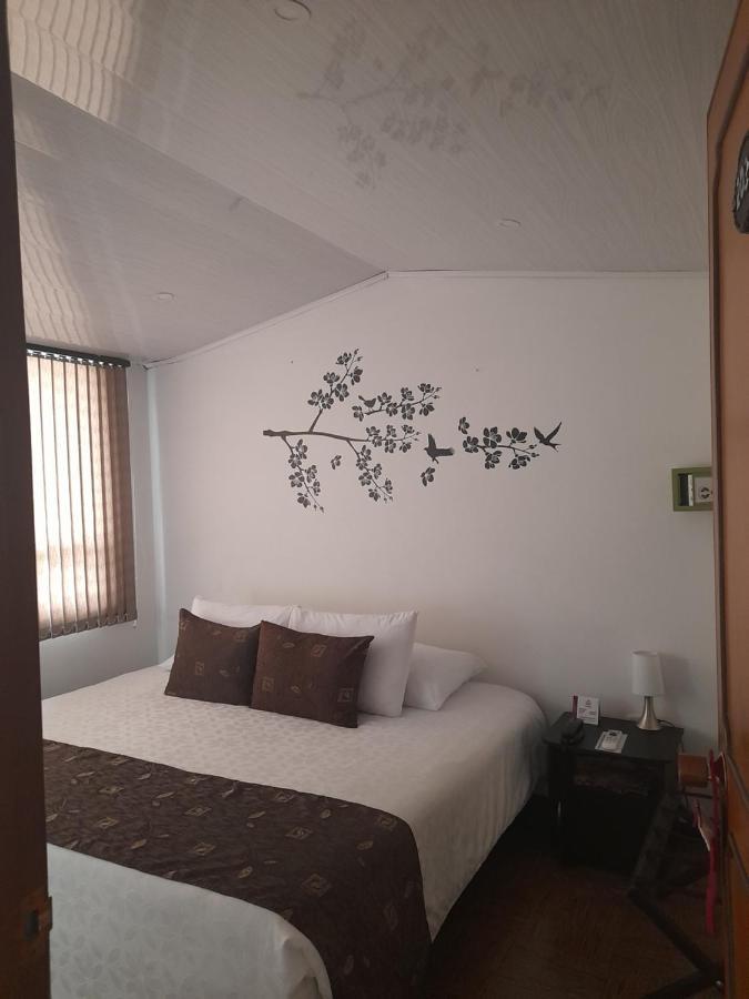 Hotel Confort