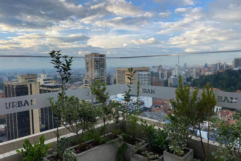 Of The World In Apartamento