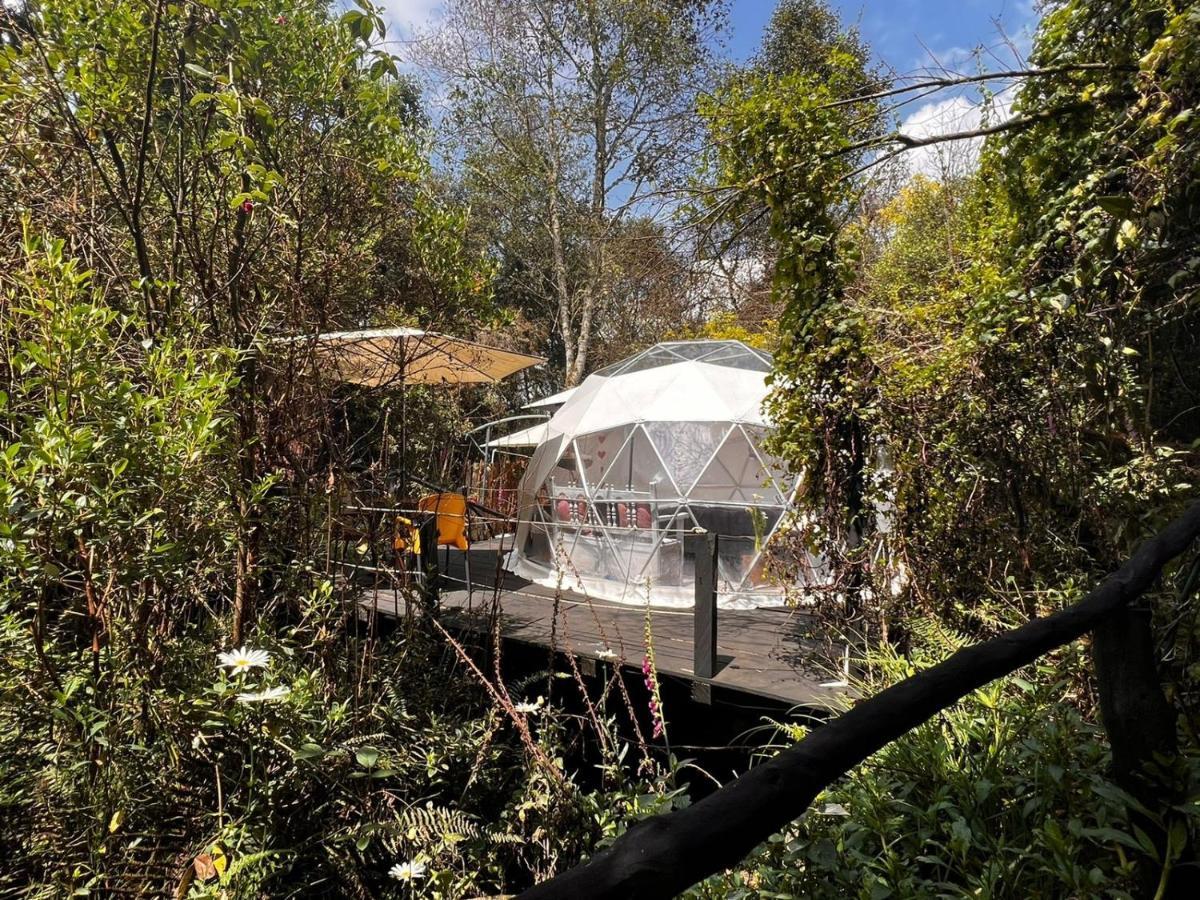 Fantasia Glamping