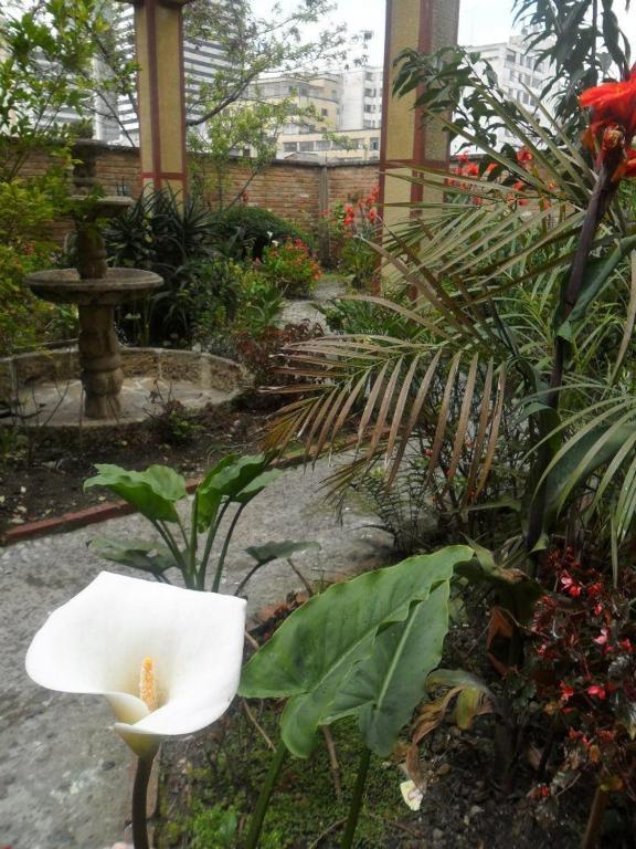 Apartamento Tip Top Backpackers
