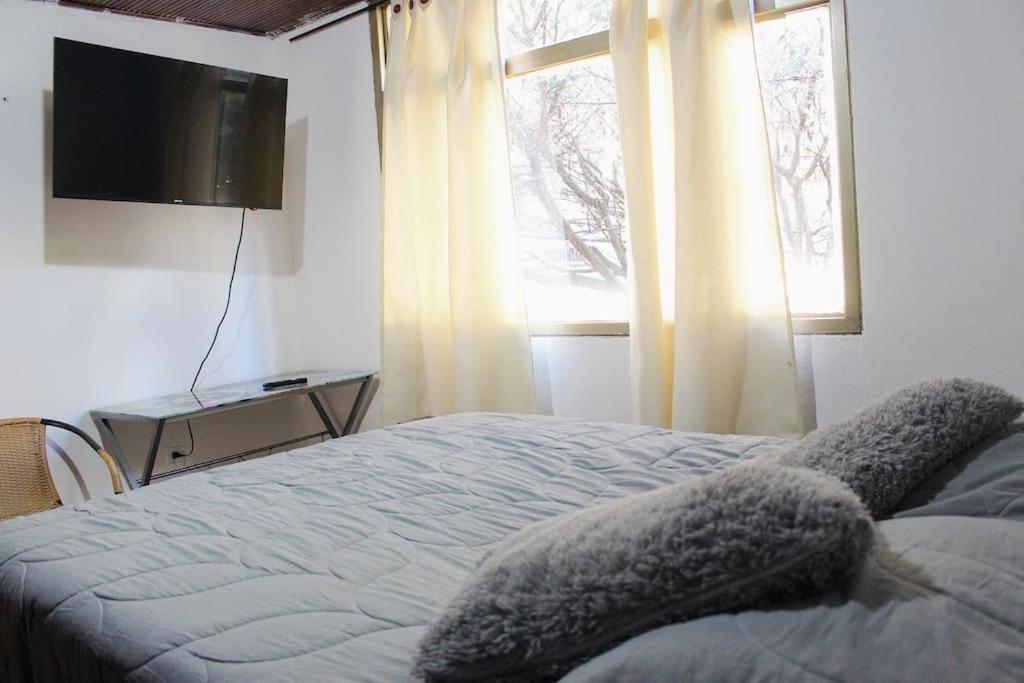 Backpackers - La Terraza Bogotá