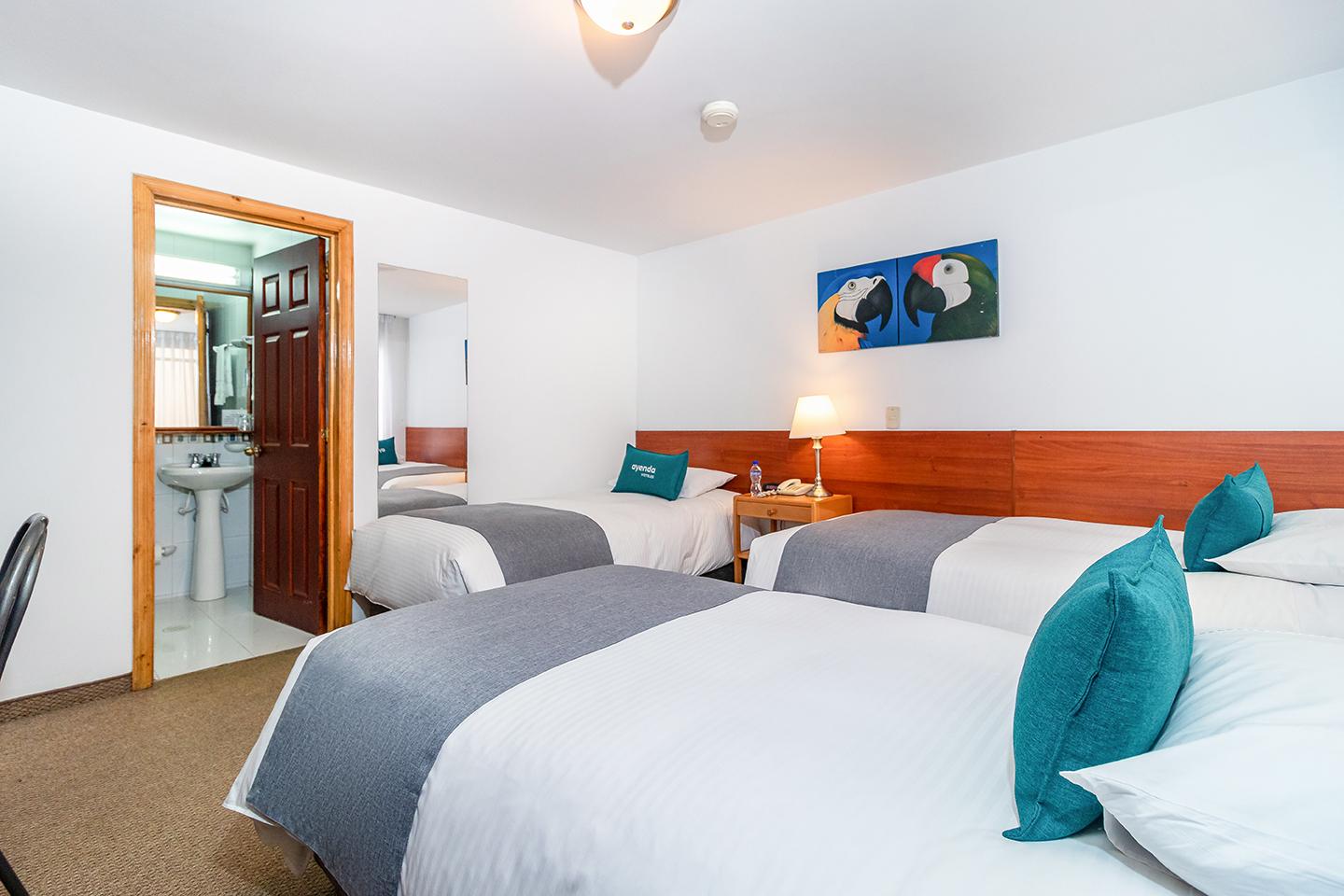 Hotel El Campin 3*
