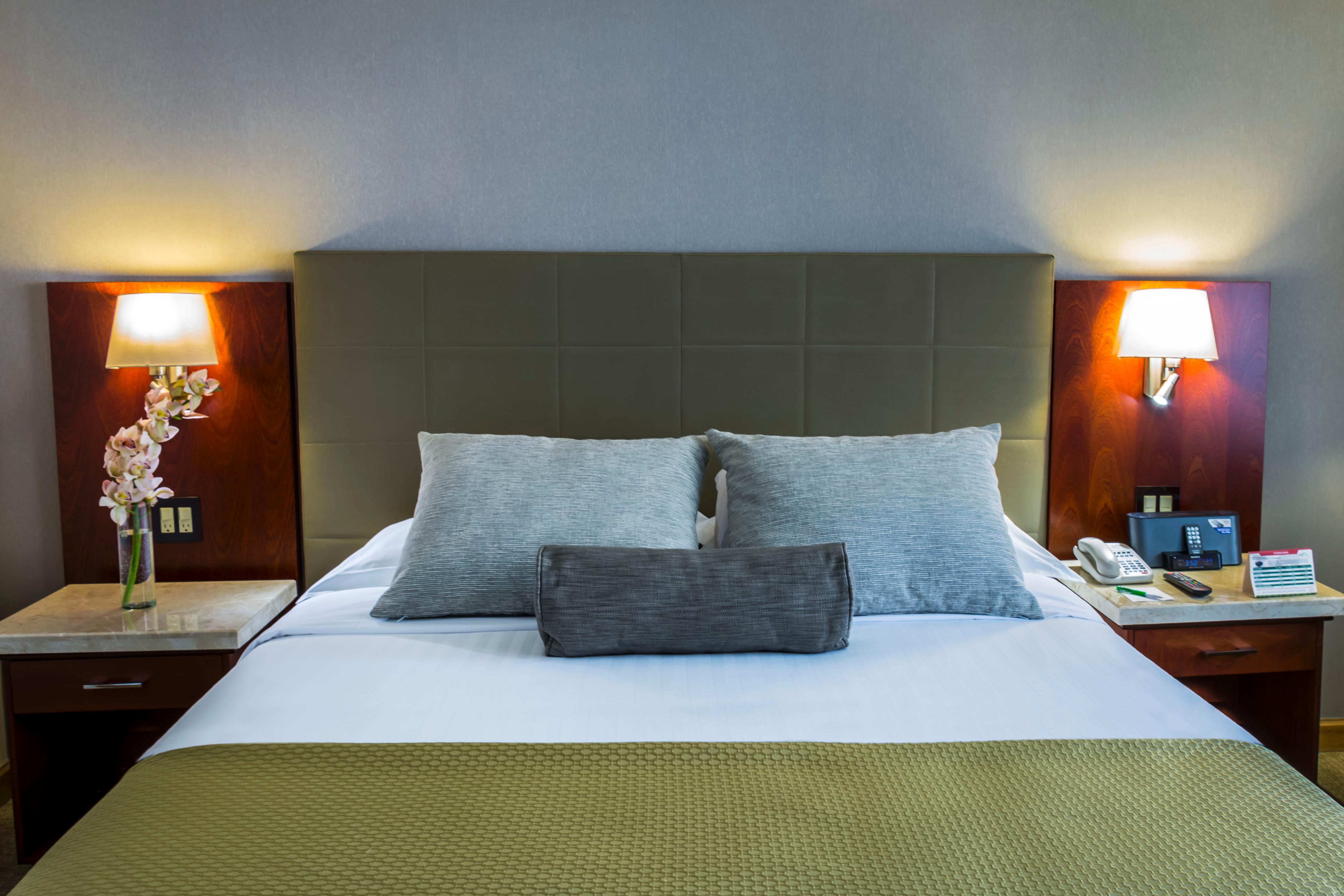 Hotel Plaza 5*