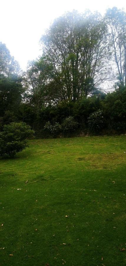 Apartamento Rodeado Por Zona Apartamento *